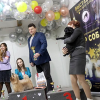 Выставка собак РКФ