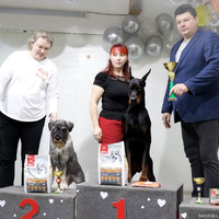 Выставка собак РКФ