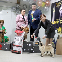 Выставка собак РКФ