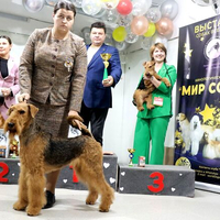 Выставка собак РКФ