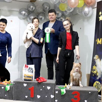 Выставка собак РКФ