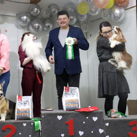 Выставка собак РКФ