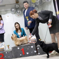 Выставка собак РКФ