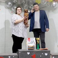 Выставка собак РКФ