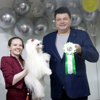 Выставка собак РКФ