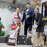 Выставка собак РКФ