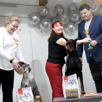 Выставка собак РКФ