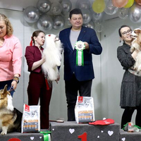 Выставка собак РКФ