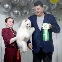 Выставка собак РКФ