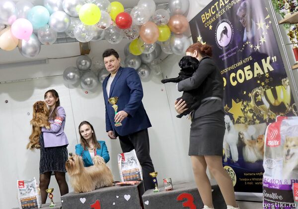 Выставка собак РКФ