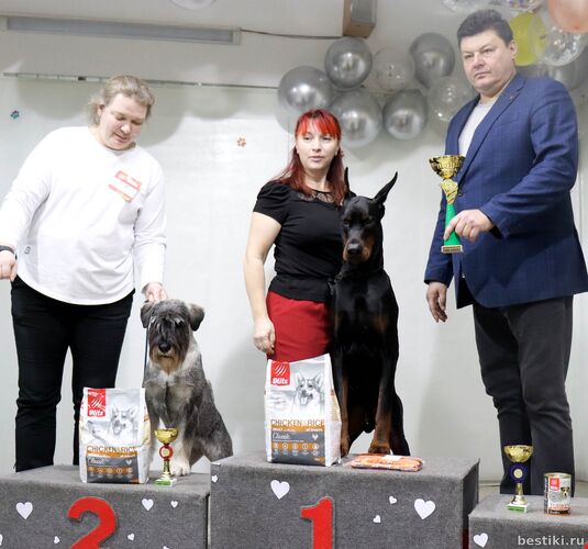 Выставка собак РКФ