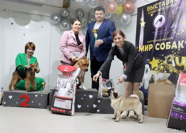 Выставка собак РКФ