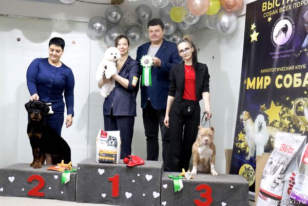 Выставка собак РКФ