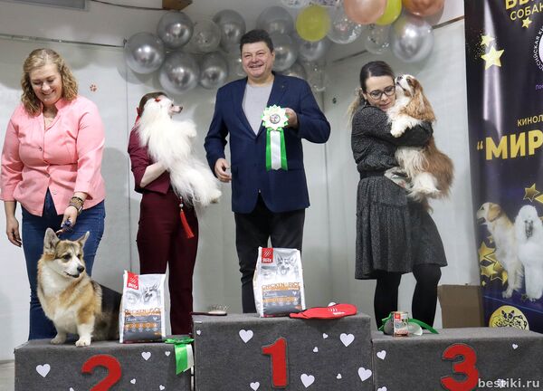 Выставка собак РКФ