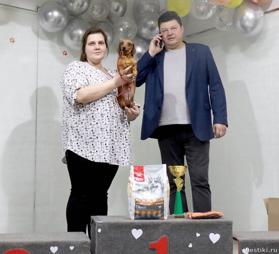 Выставка собак РКФ