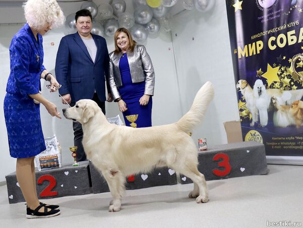 Выставка собак РКФ