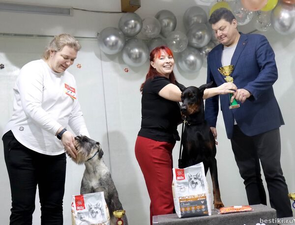 Выставка собак РКФ