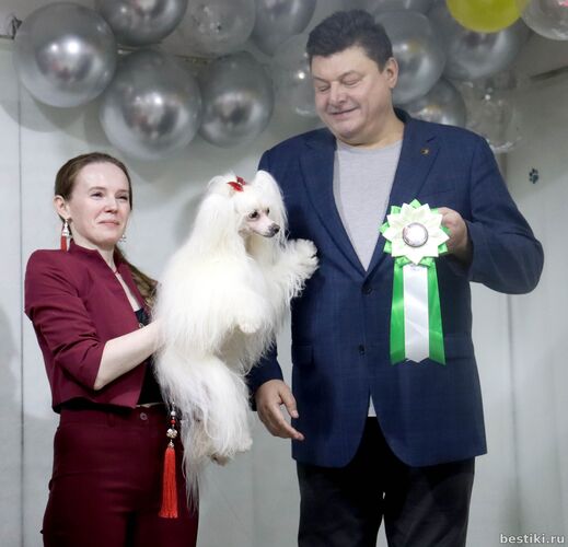 Выставка собак РКФ